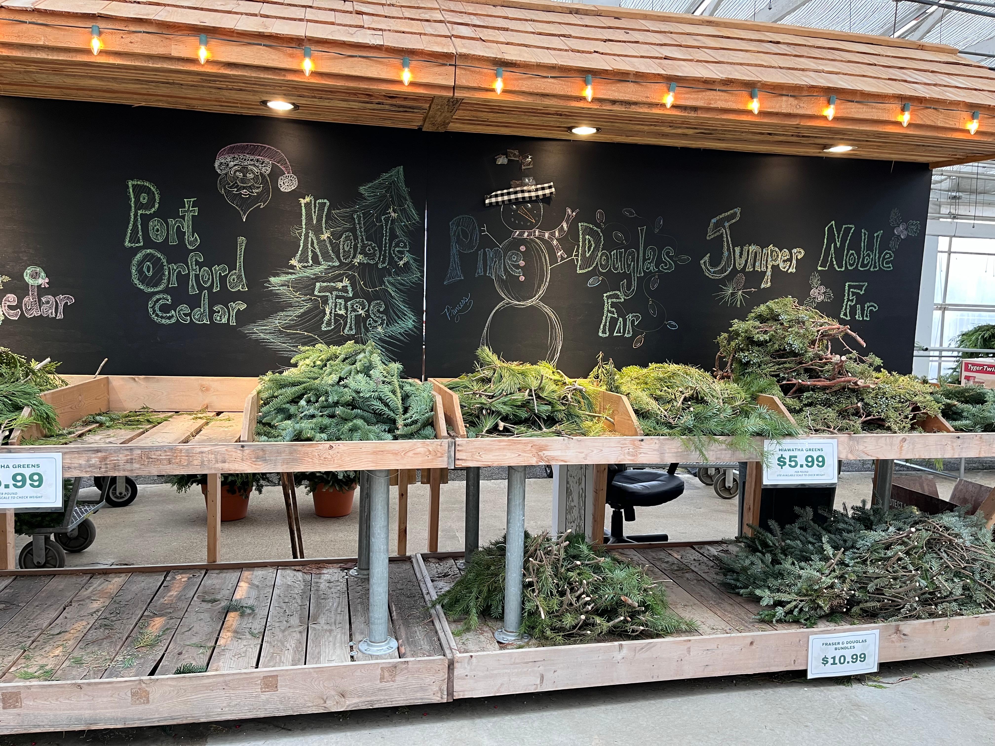 Different kinds of greenery decorations on display at a garden retail center.